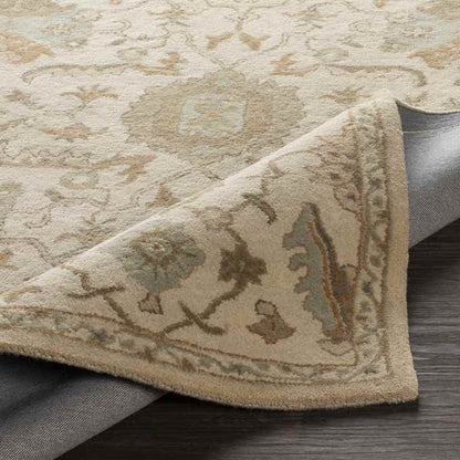 Nackawic Traditional Beige Area Rug