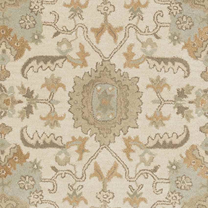 Nackawic Traditional Beige Area Rug