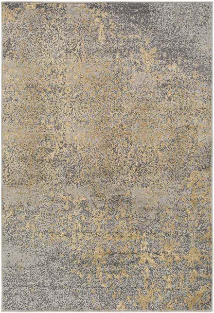 Le Goulet Traditional Medium Gray Area Rug