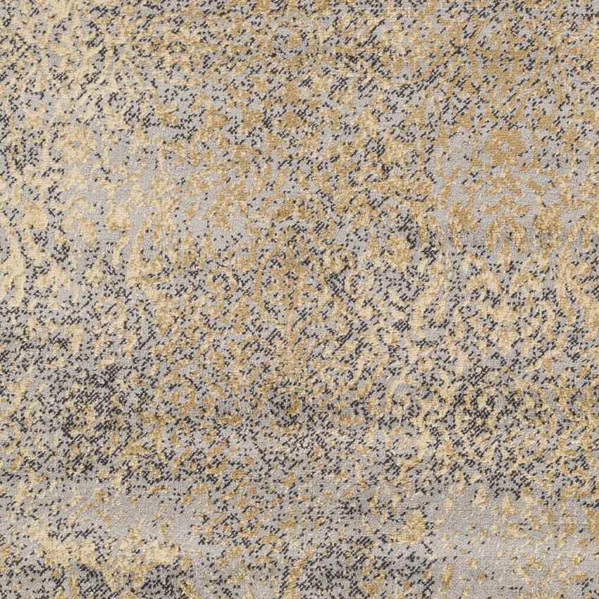 Le Goulet Traditional Medium Gray Area Rug