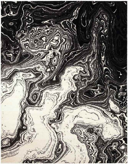 Bird Cove Modern Black Area Rug