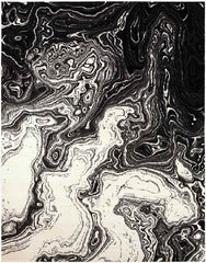 Bird Cove Modern Black Area Rug