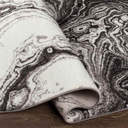 Bird Cove Modern Black Area Rug