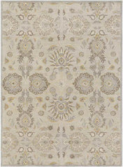 Eckville Traditional Light Gray Area Rug