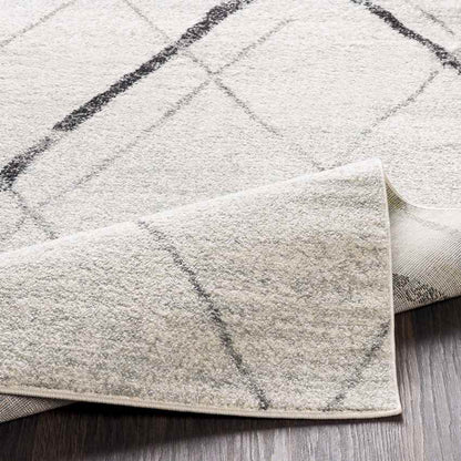 Caledon Modern Light Gray Area Rug