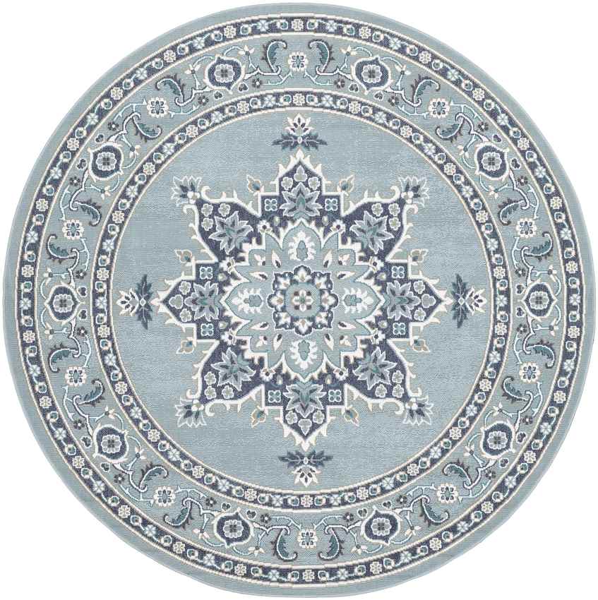 Lyla Traditional Aqua Area Rug
