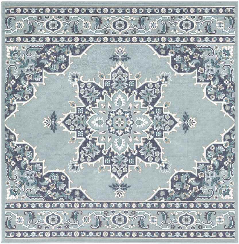 Lyla Traditional Aqua Area Rug