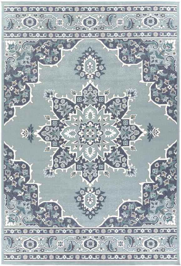 Lyla Traditional Aqua Area Rug