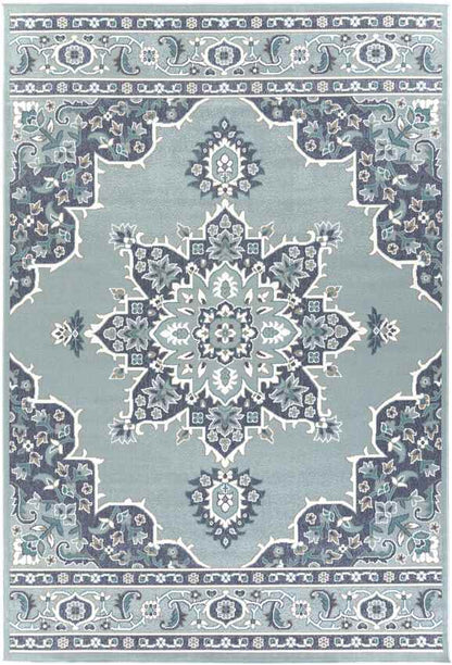 Lyla Traditional Aqua Area Rug