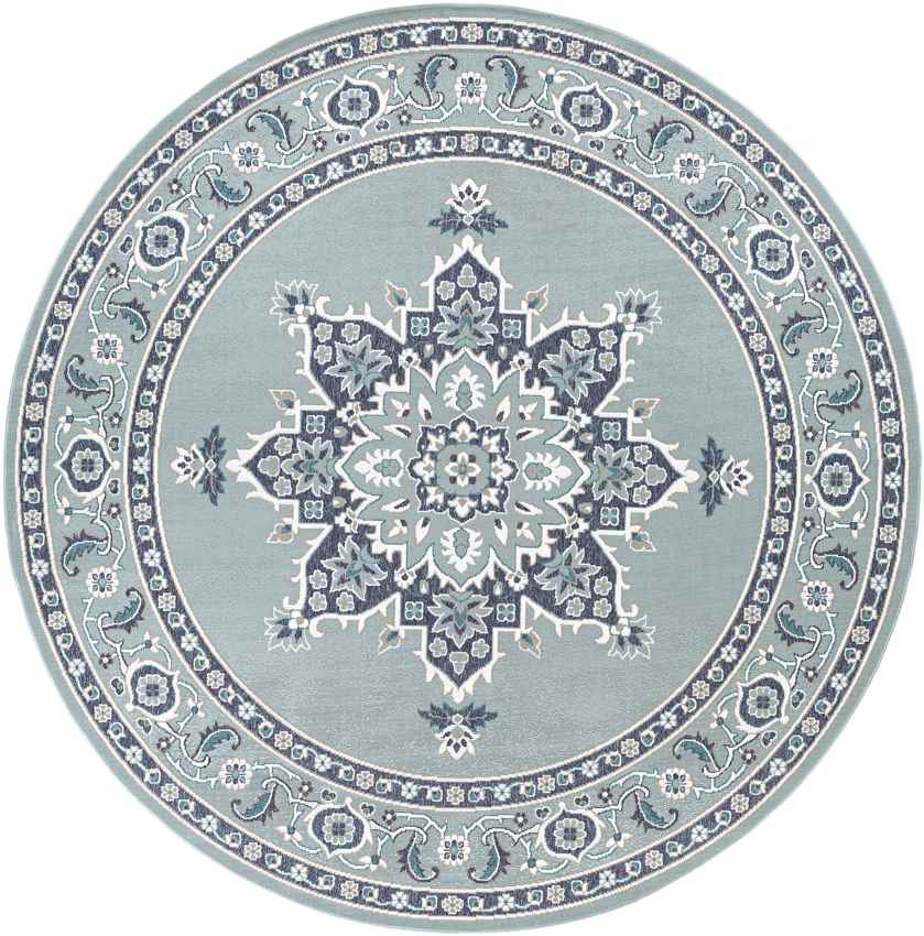 Lyla Traditional Aqua Area Rug