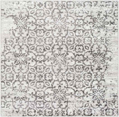 Dalmeny Traditional Light Gray Area Rug
