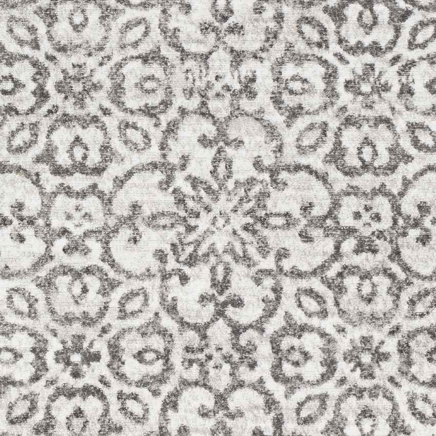 Dalmeny Traditional Light Gray Area Rug