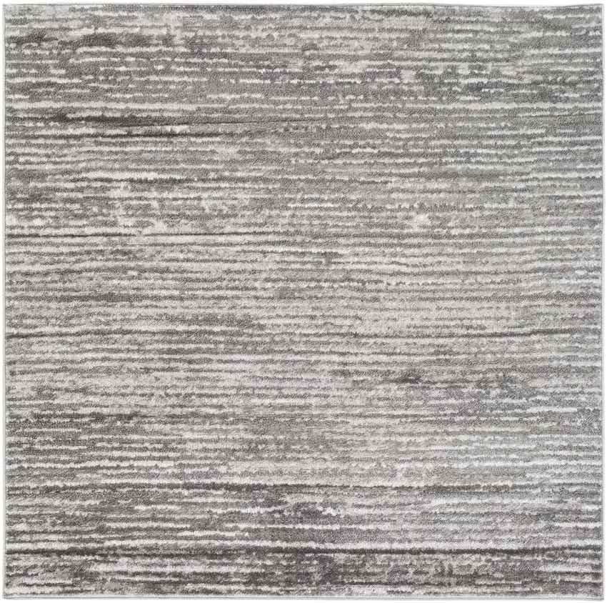 Delisle Modern Light Gray Area Rug