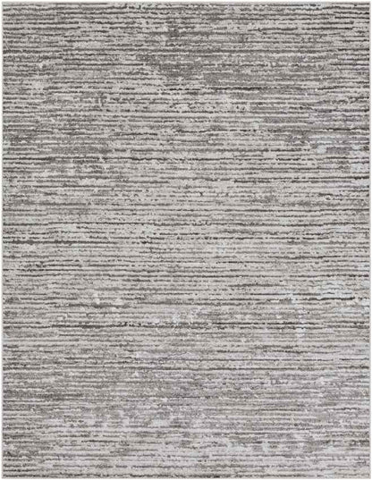 Delisle Modern Light Gray Area Rug