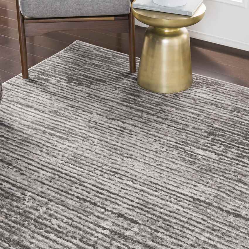 Delisle Modern Light Gray Area Rug