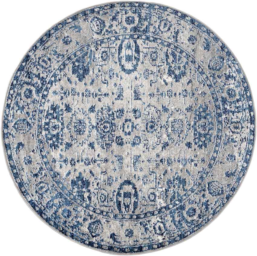 Kedrick Traditional Light Gray Area Rug