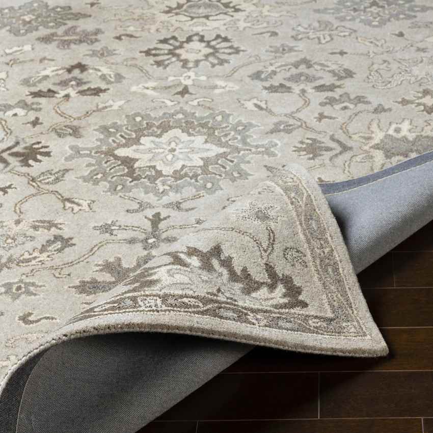 Ness Traditional Taupe Area Rug
