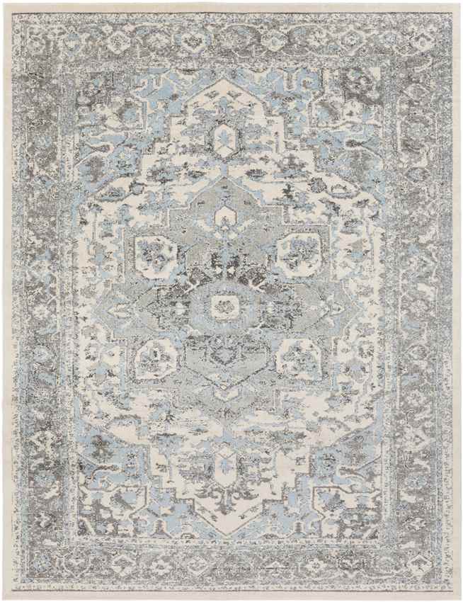 Harlingen Traditional Pale Blue Area Rug