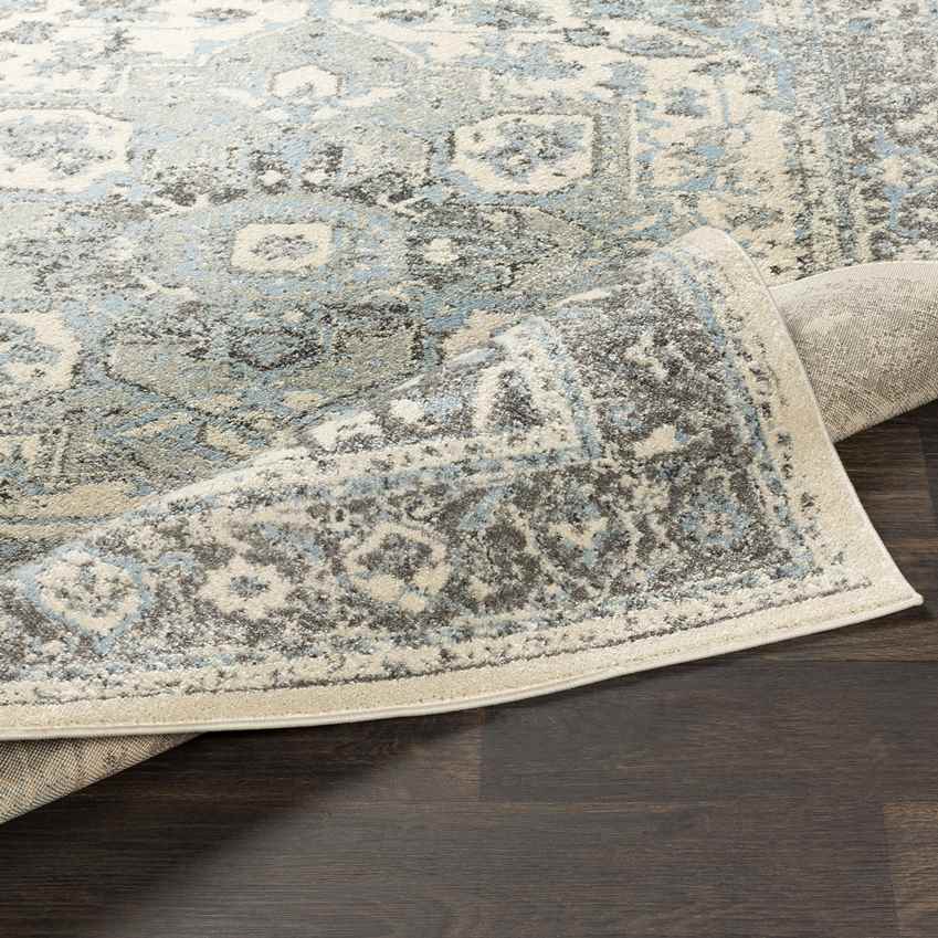 Harlingen Traditional Pale Blue Area Rug