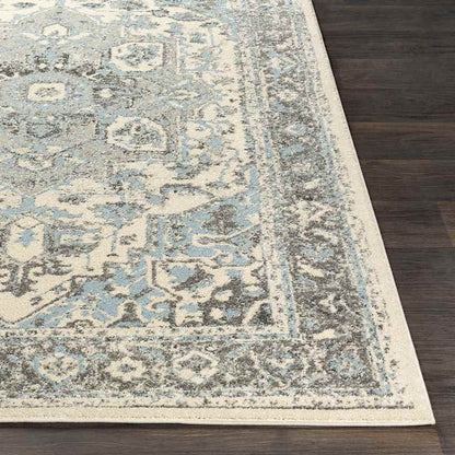 Harlingen Traditional Pale Blue Area Rug