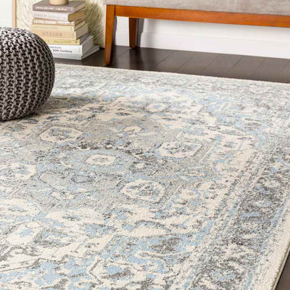 Harlingen Traditional Pale Blue Area Rug
