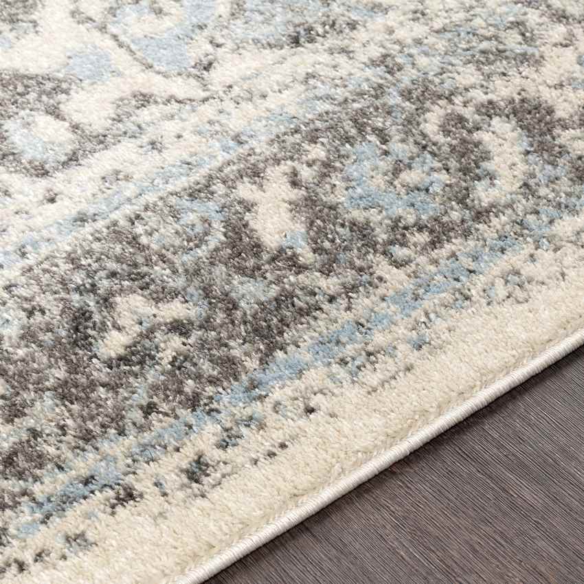 Harlingen Traditional Pale Blue Area Rug