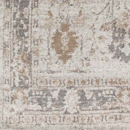 Hatsum Traditional Medium Gray Area Rug