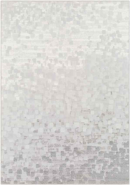IJlst Modern Light Gray Area Rug