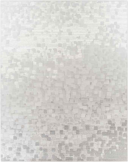 IJlst Modern Light Gray Area Rug