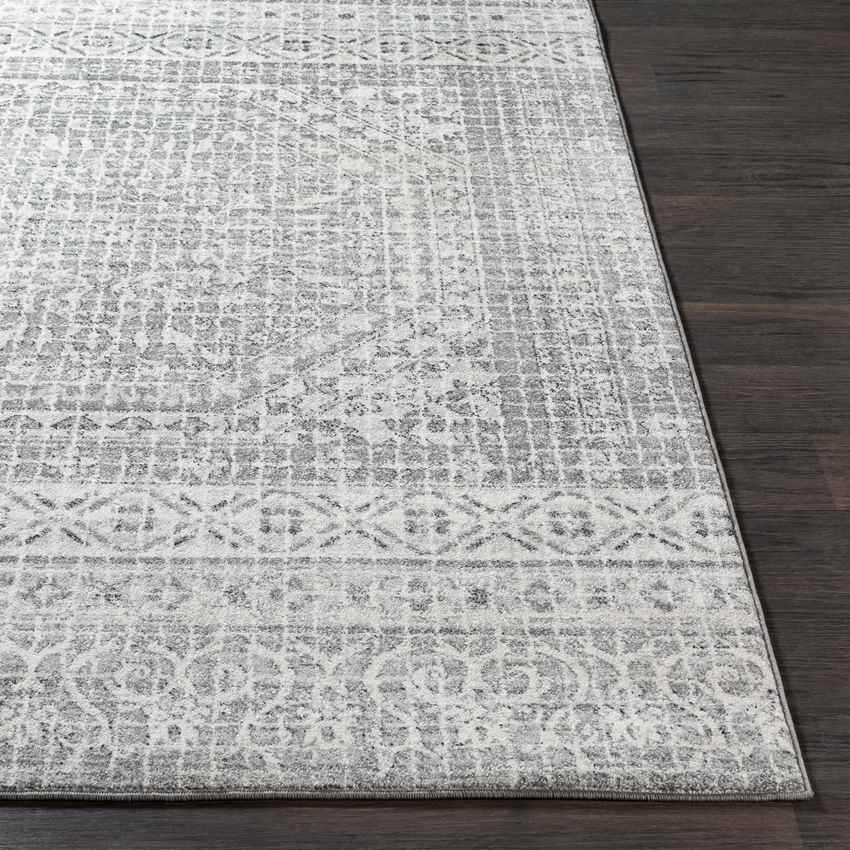 Langweer Traditional Light Gray Area Rug