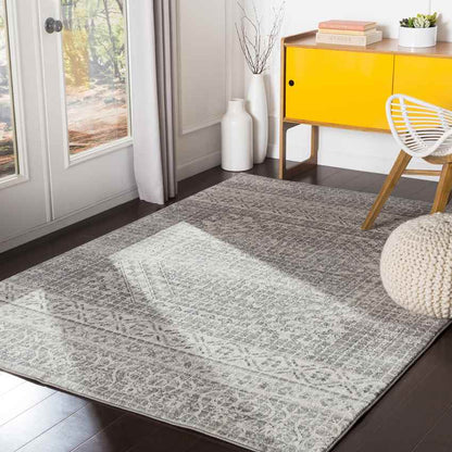 Langweer Traditional Light Gray Area Rug
