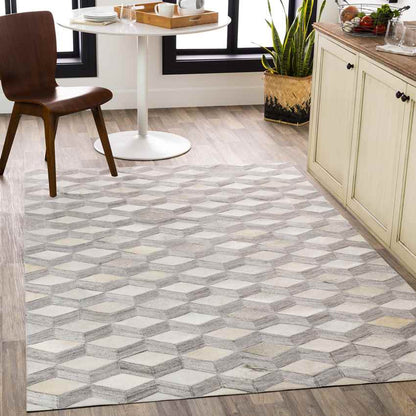 Maemert Modern Ivory Area Rug