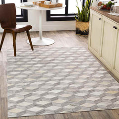 Maemert Modern Ivory Area Rug