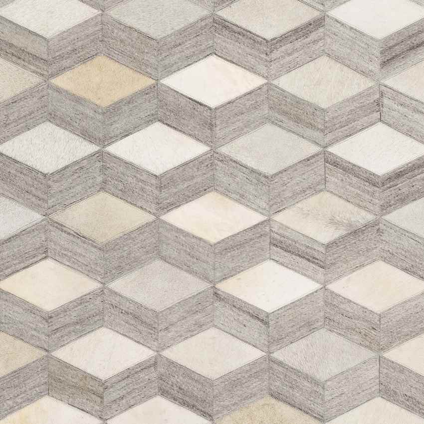 Maemert Modern Ivory Area Rug