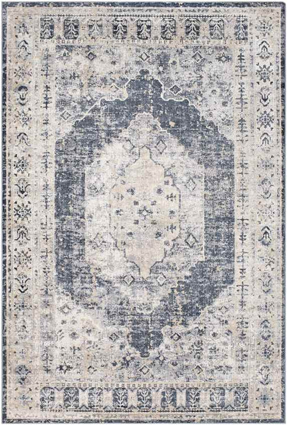 Paesens Traditional Taupe Area Rug