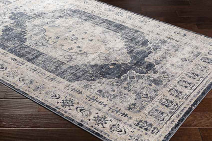 Paesens Traditional Taupe Area Rug