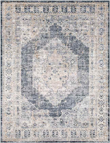 Paesens Traditional Taupe Area Rug