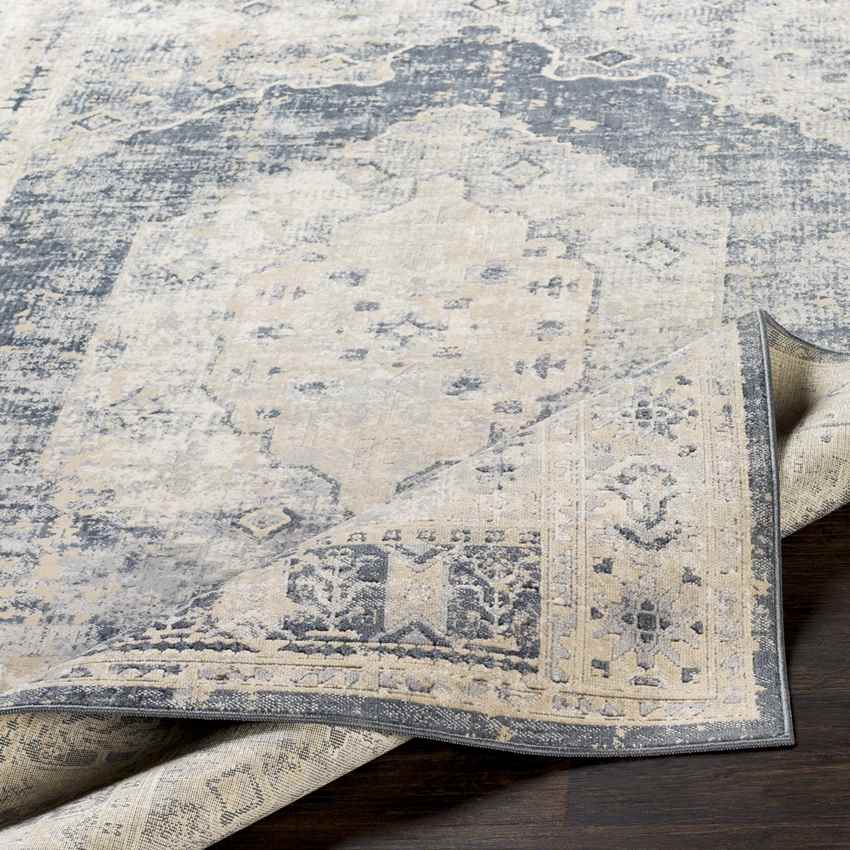 Paesens Traditional Taupe Area Rug