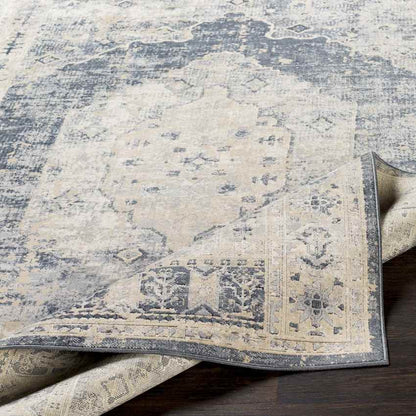 Paesens Traditional Taupe Area Rug