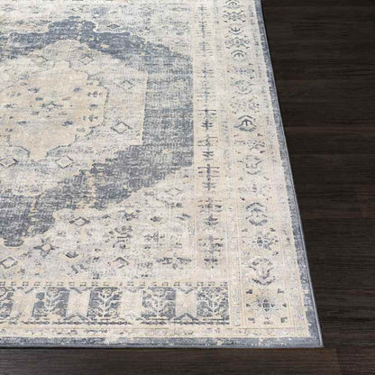 Paesens Traditional Taupe Area Rug