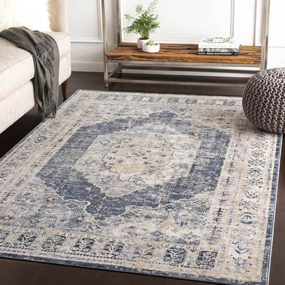 Paesens Traditional Taupe Area Rug