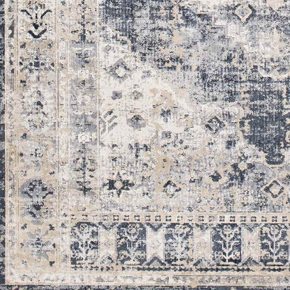 Paesens Traditional Taupe Area Rug