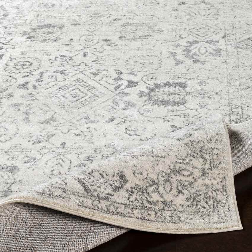 Schingen Traditional Charcoal Area Rug