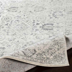 Schingen Traditional Charcoal Area Rug