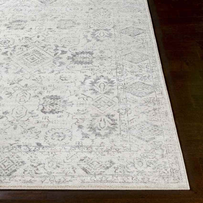 Schingen Traditional Charcoal Area Rug