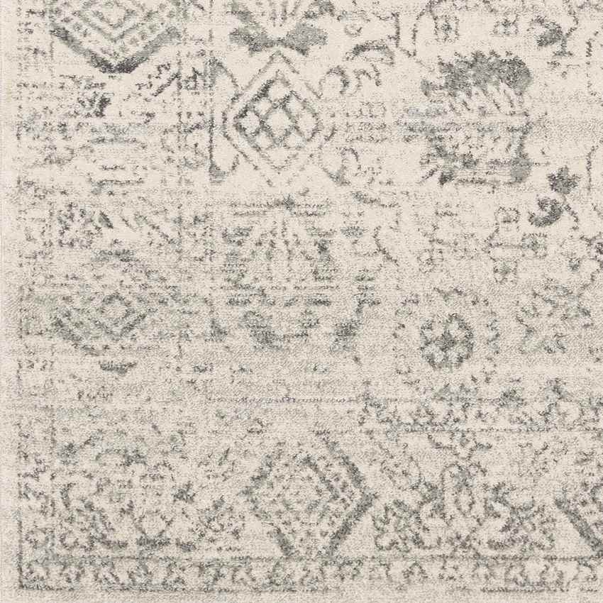 Schingen Traditional Charcoal Area Rug