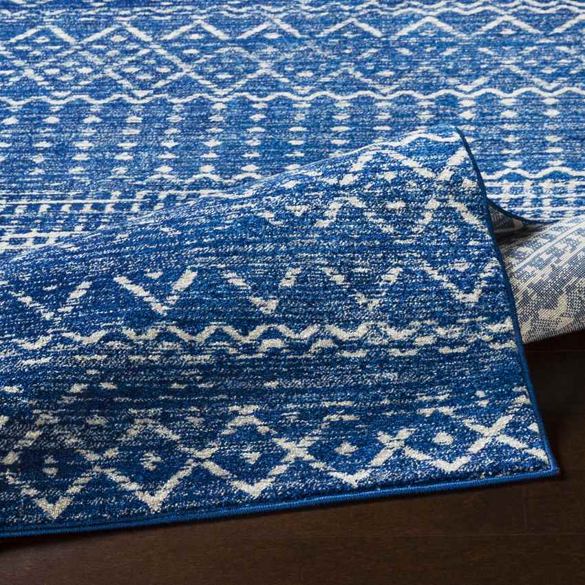 Schrins Global Bright Blue Area Rug