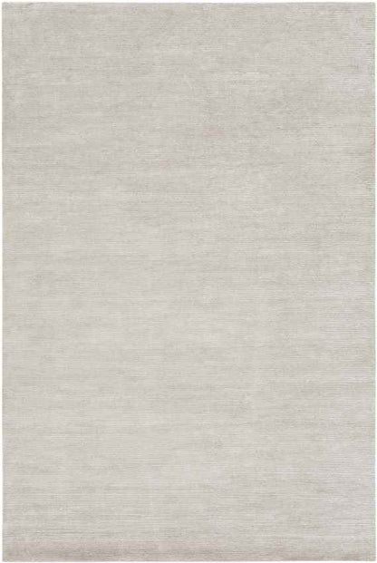 Midhurst Modern Light Gray Area Rug