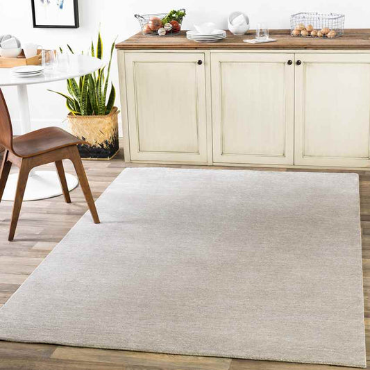 Midhurst Modern Light Gray Area Rug