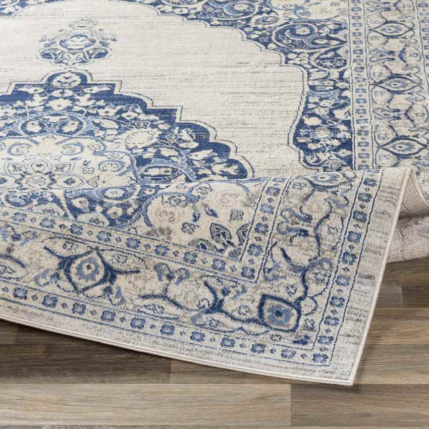 Stiem Traditional Navy Area Rug